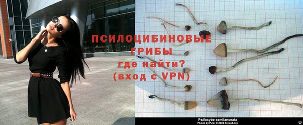 не бодяженный Михайлов